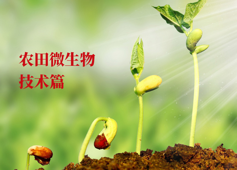 什么是農(nóng)用微生物菌劑和其作用 
